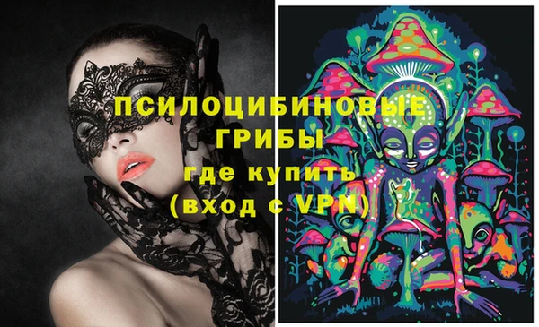 гашиш Богданович