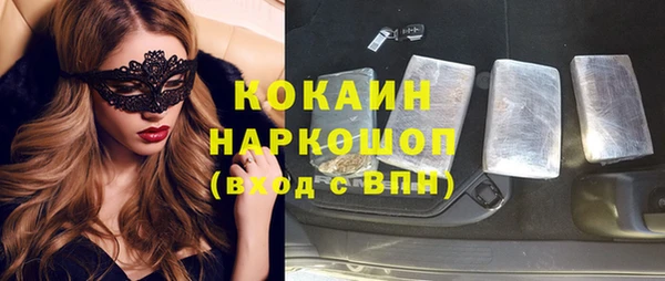 гашиш Богданович