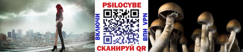 Псилоцибиновые грибы прущие грибы  Купить закладки  Мурино 