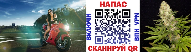 Купить где  Мурино  Шишки марихуана конопля 